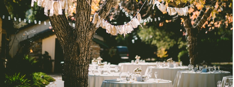 invitada boda
